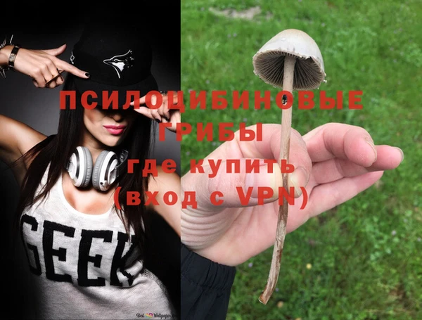 бошки Балахна